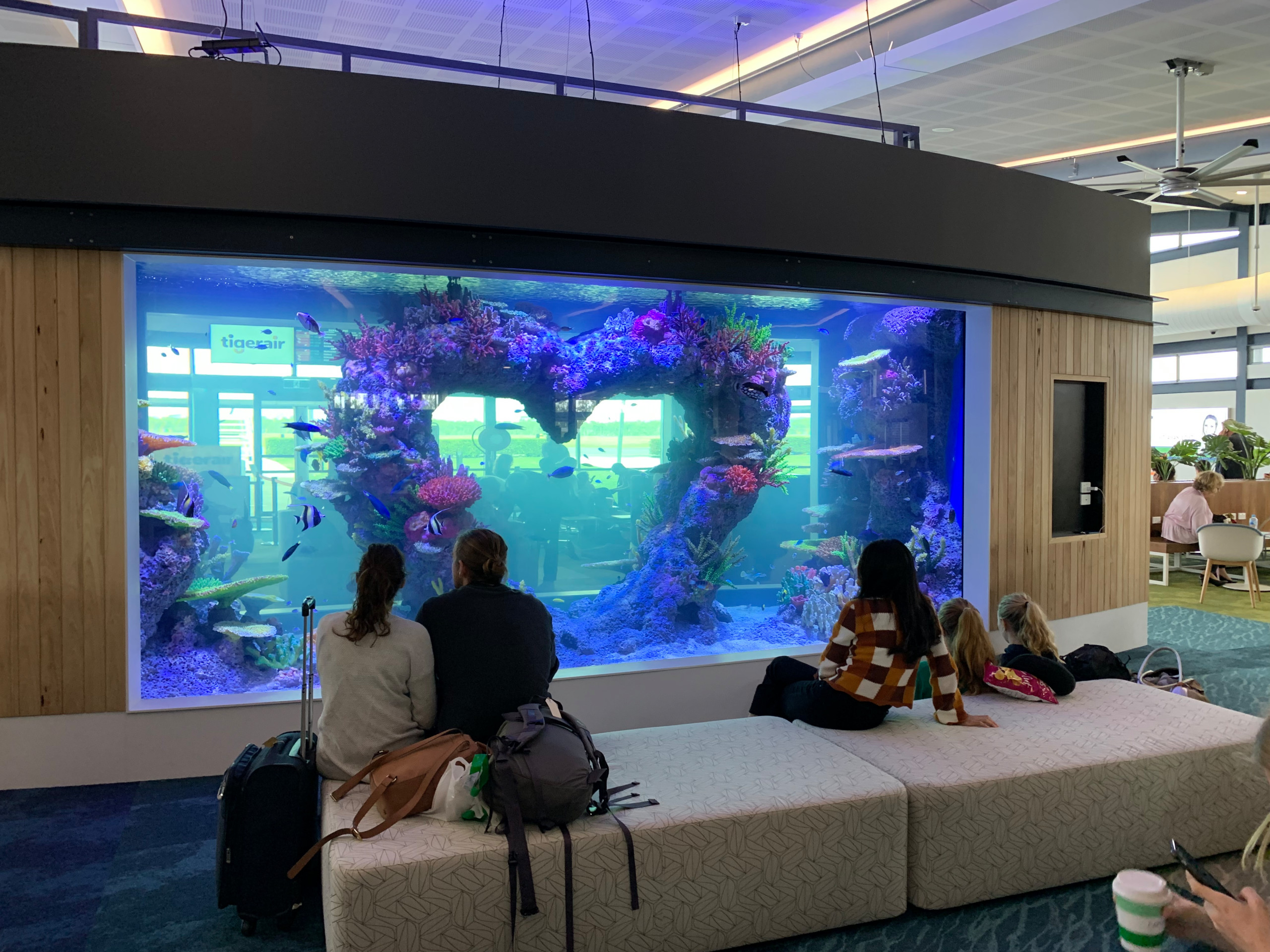 Aquarium - Whitsundays Airport