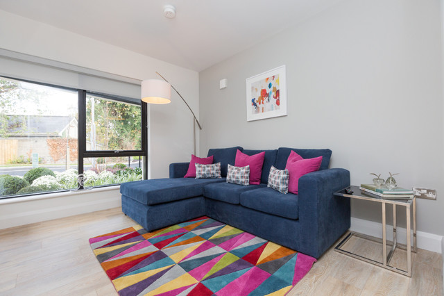 Butterfield Avenue, Rathfarnham, Co. Dublin. Ireland.tv modern-living-room