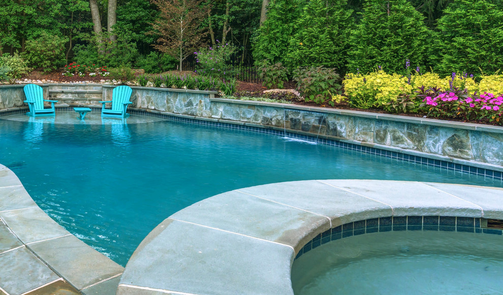 Design ideas for a transitional pool in DC Metro.