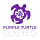 Purple Turtle Concepts