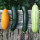 Last commented by Zone 9 Gardening