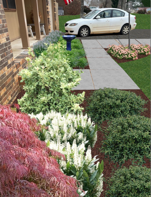 Foundation Plantings