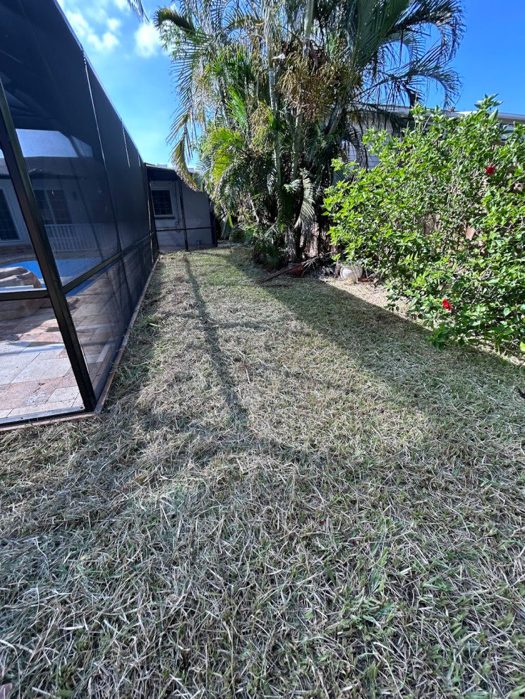 Lawn Care and Maintenance