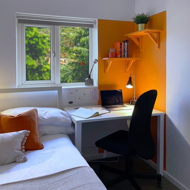 Student House modern-bedroom