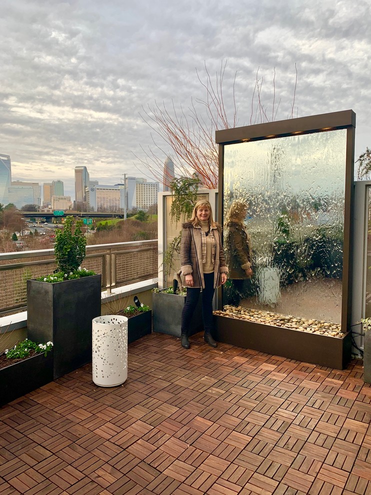 Contemporary garden in Charlotte.