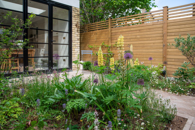 Fulham courtyard contemporary-traedgaard