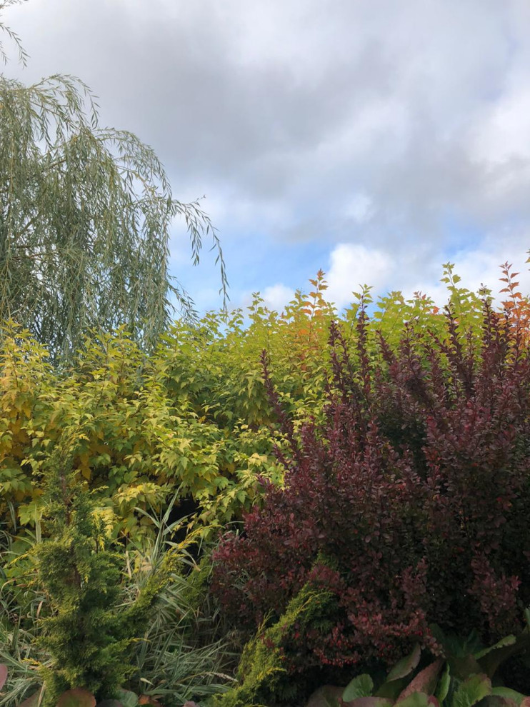 Сад трав и цветов.