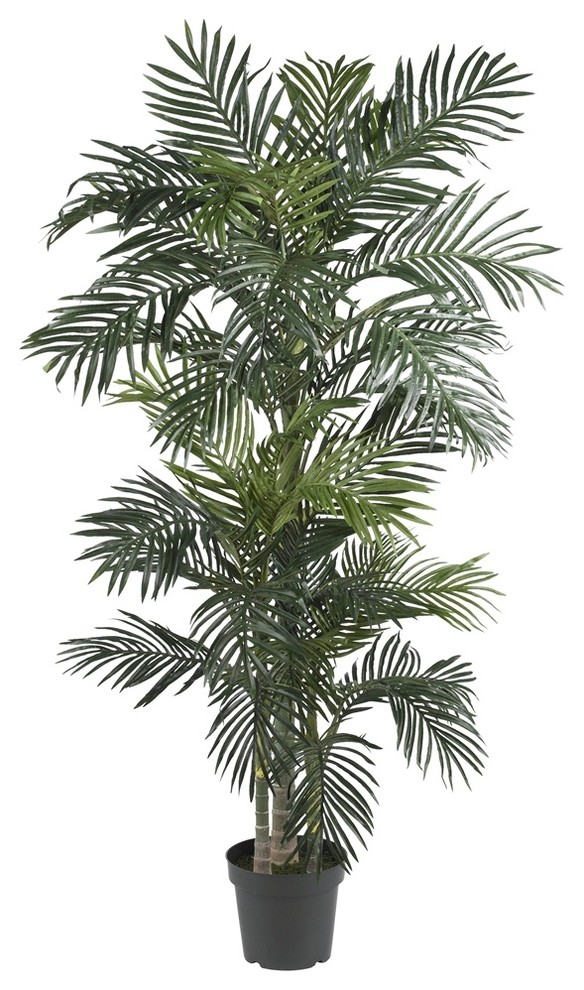 6.5' Golden Cane Palm Silk Tree