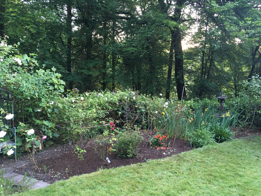 Woodland Edge Border, Surrey