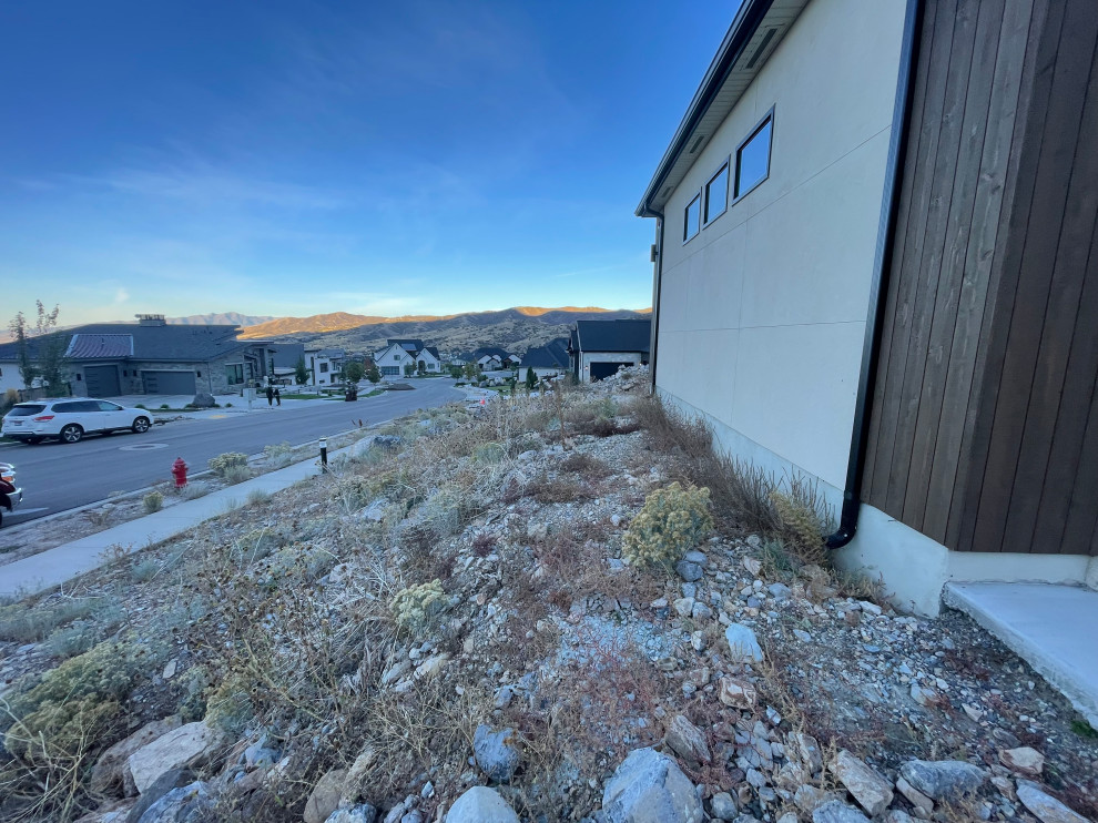 Alpine Landscape Build