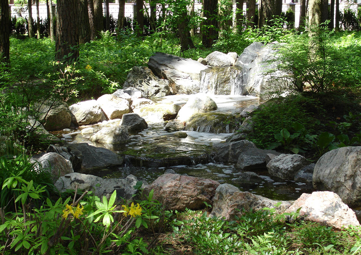 Сад с водоемом в КП " Сосновый Бор"