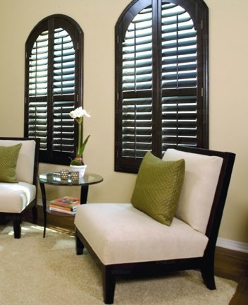Plantation Shutters Arched Windows Contemporary Living