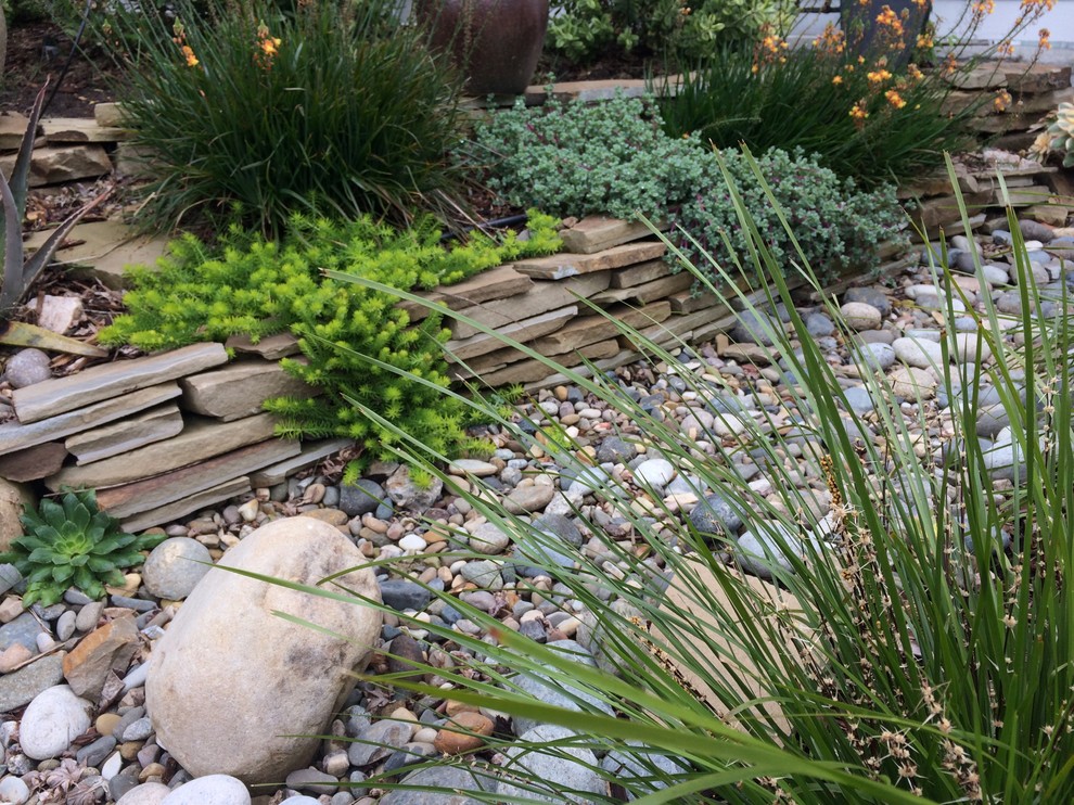 Photo of a mid-sized mediterranean backyard partial sun xeriscape for spring in San Luis Obispo with a garden path and gravel.