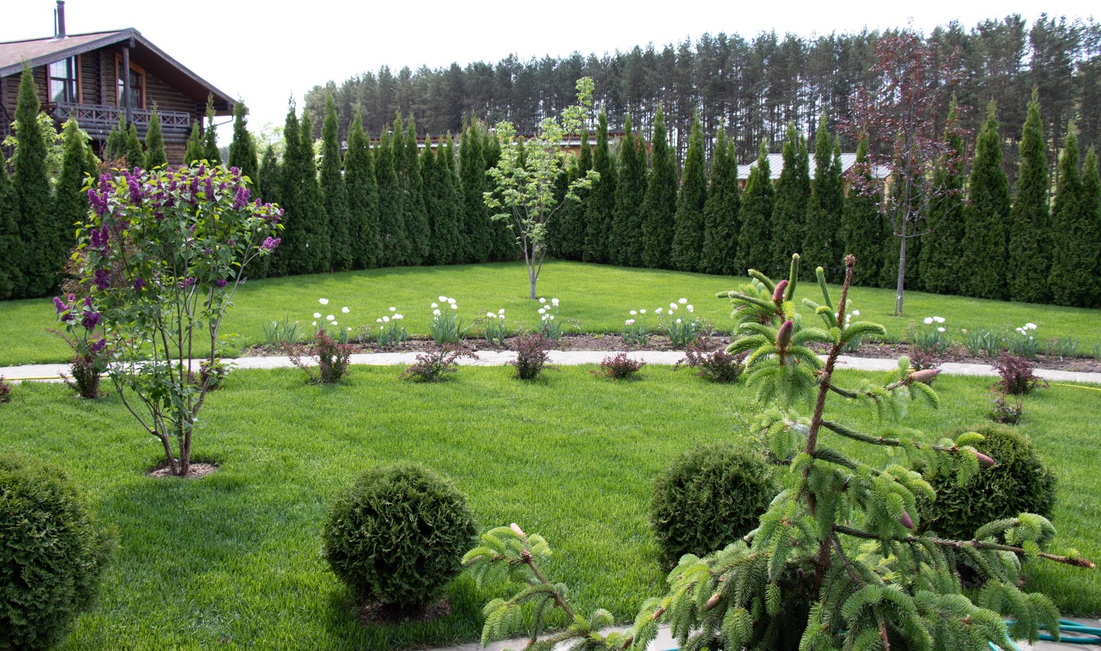 Сосновые берега