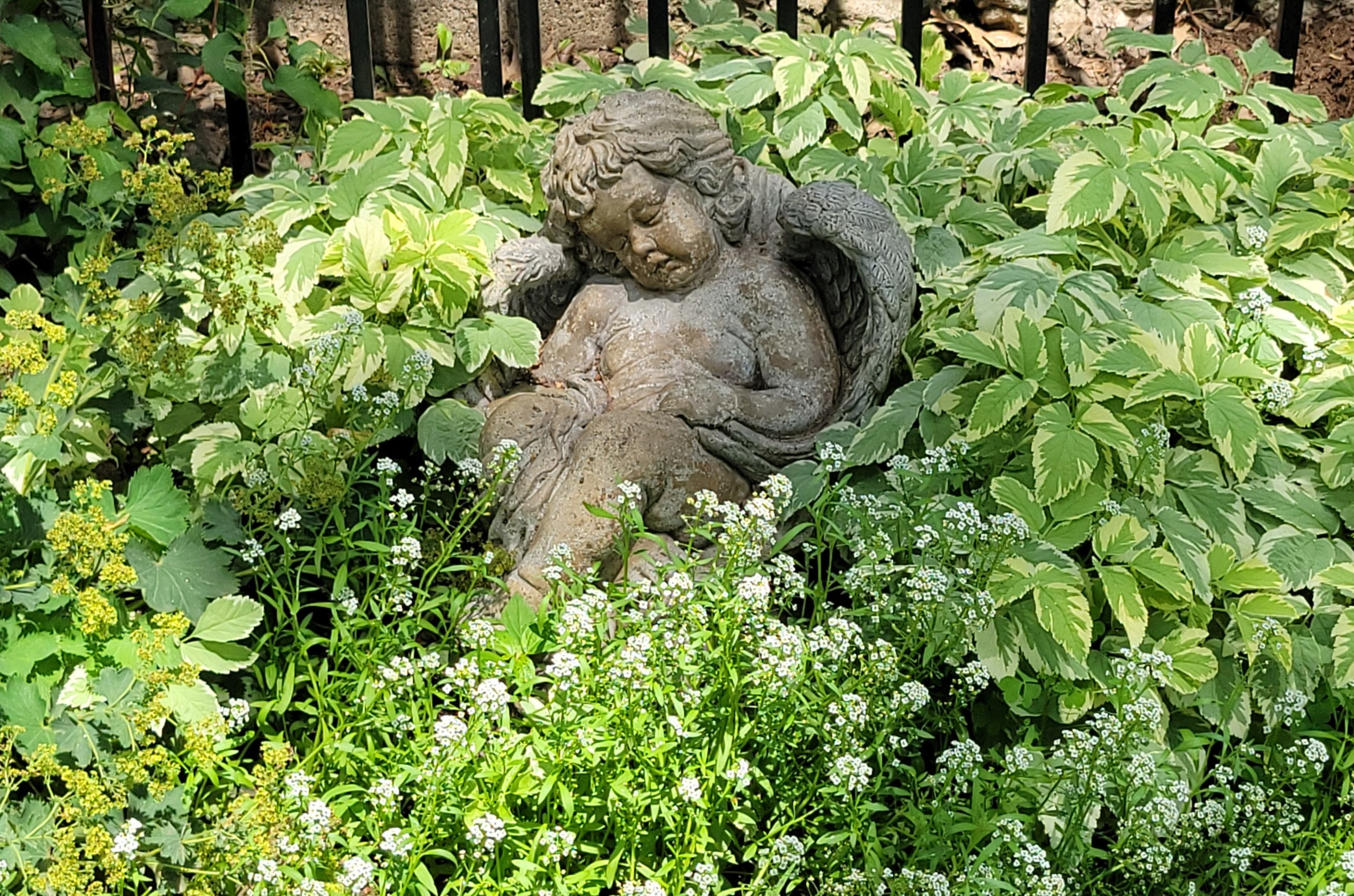 2025 Garden Highlights