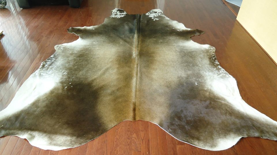 Summer Collection Brazilian Cowhide Rug Toronto by decorhut Houzz