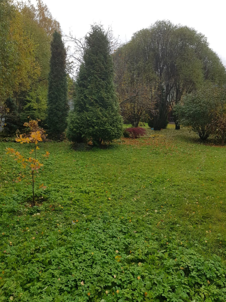 Сады по моим проектам.