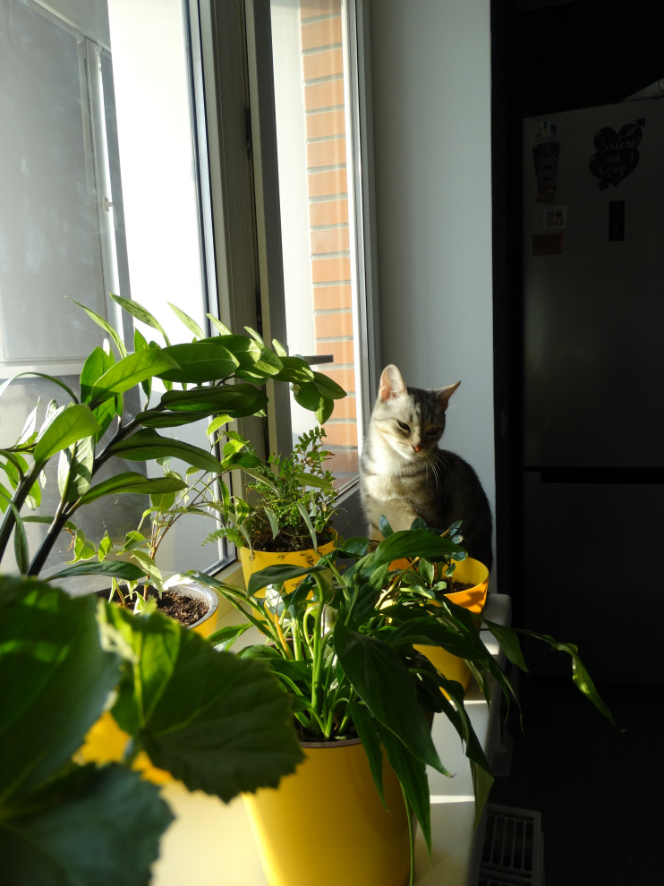 ЖК Я, Ростов-на-Дону