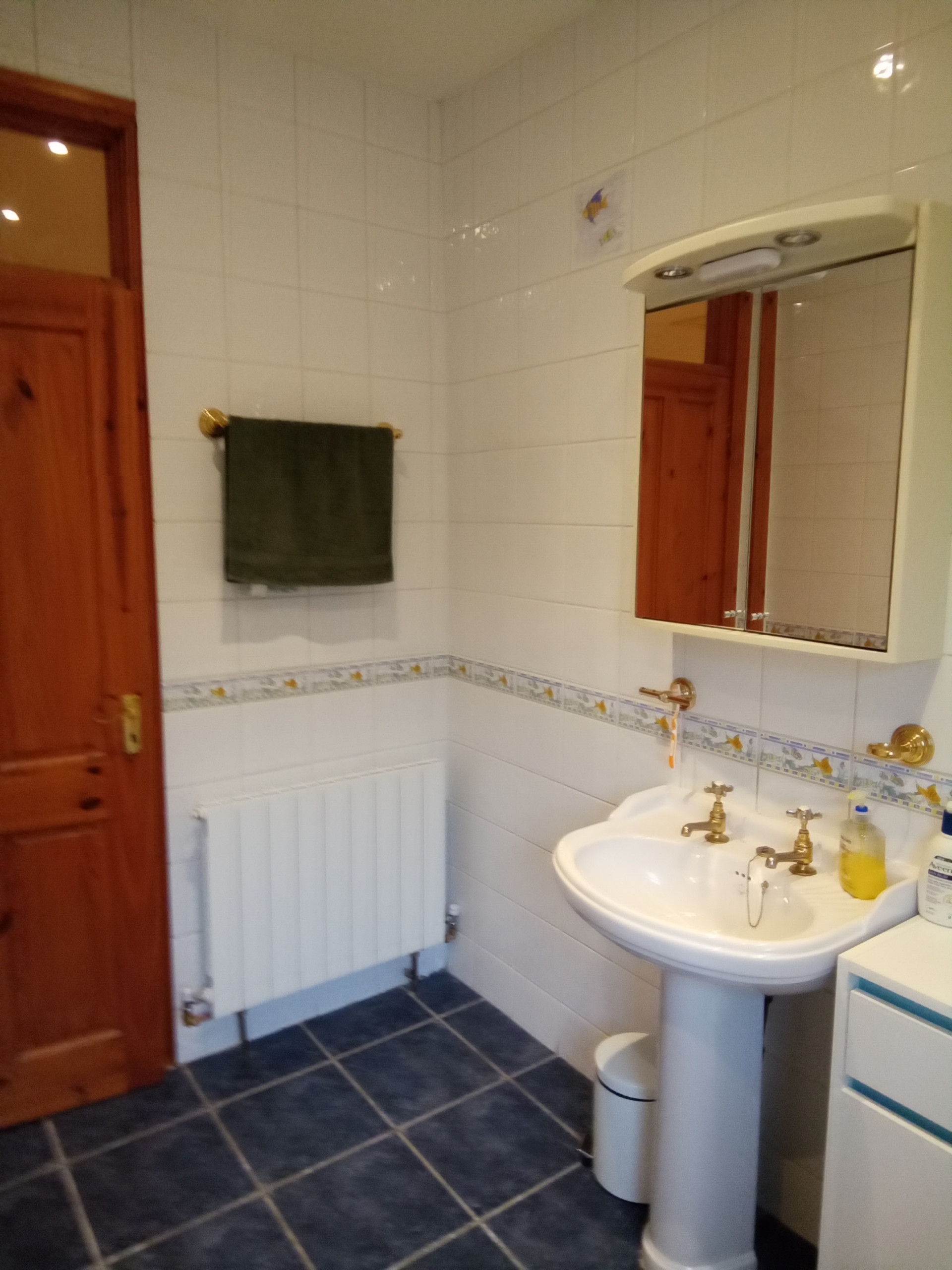 Main Bathroom Remodel & Redesign