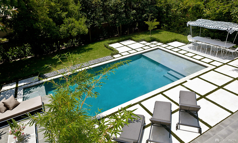 Design ideas for a modern pool in Miami.