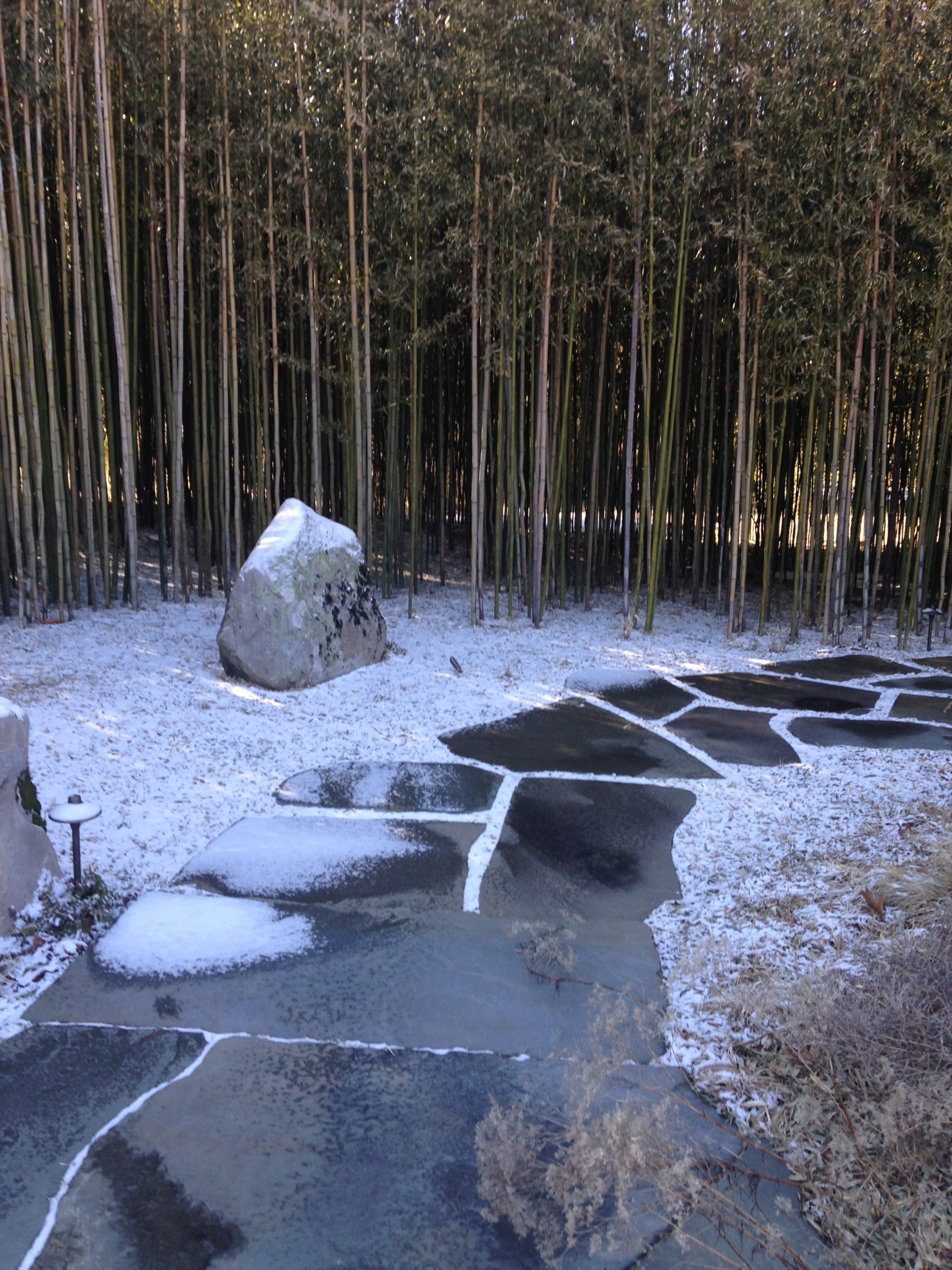 East Hampton, NY - Revegetation Design and Installation