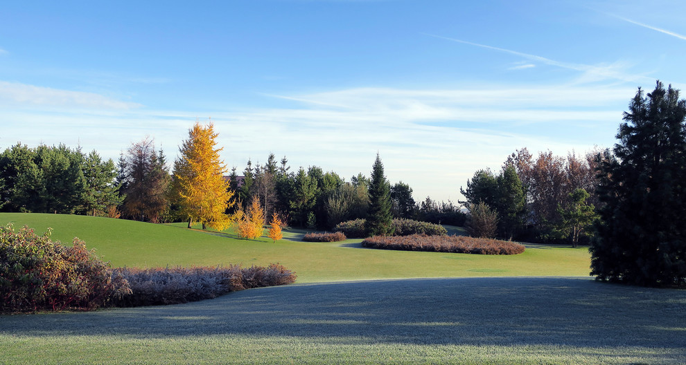 Новый пейзаж