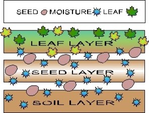 what does stratification mean