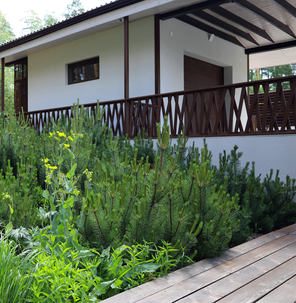 Лес и огород