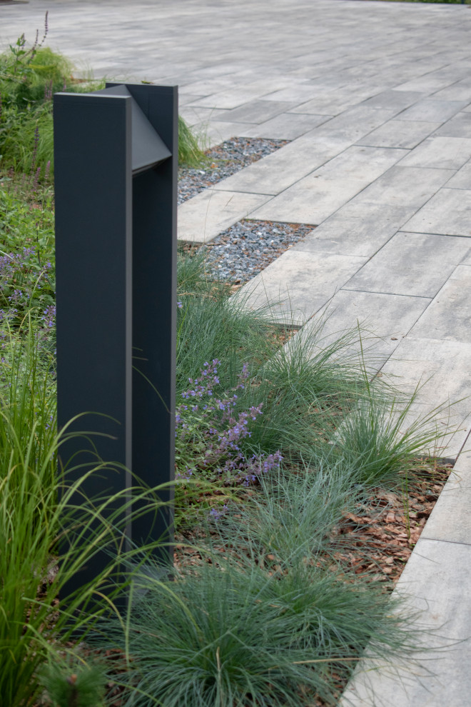 Проект "Волшебное озеро"