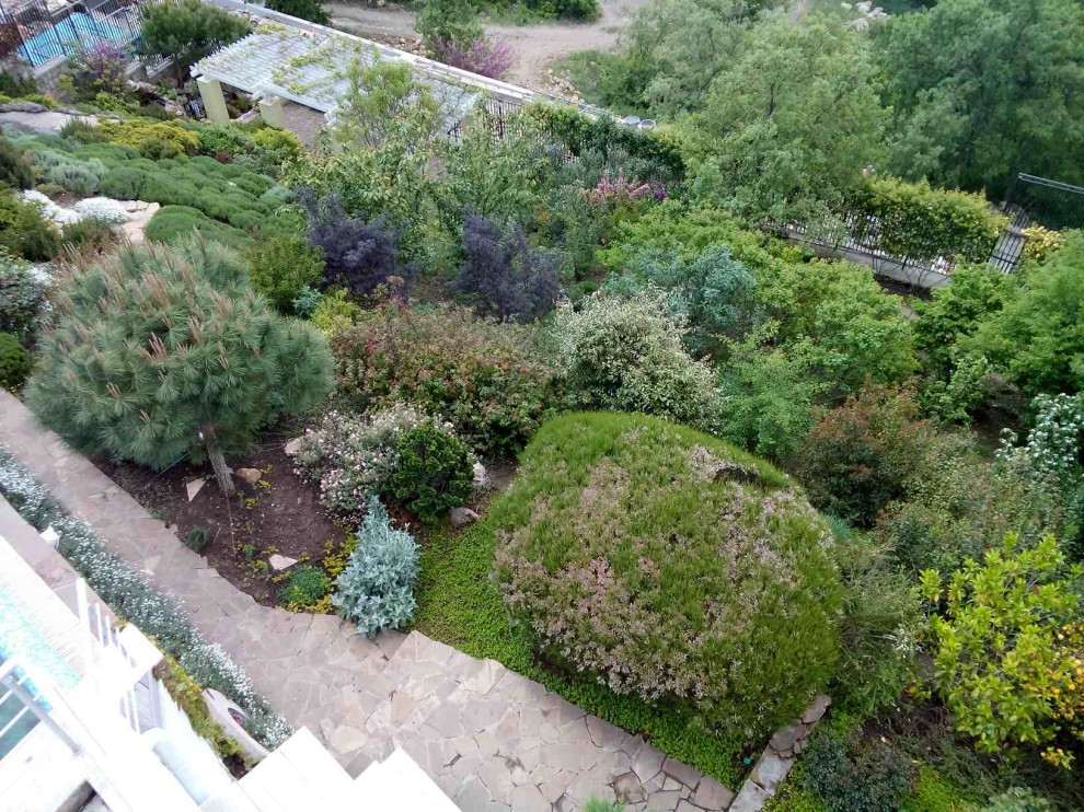 Крым. Гурзуф.