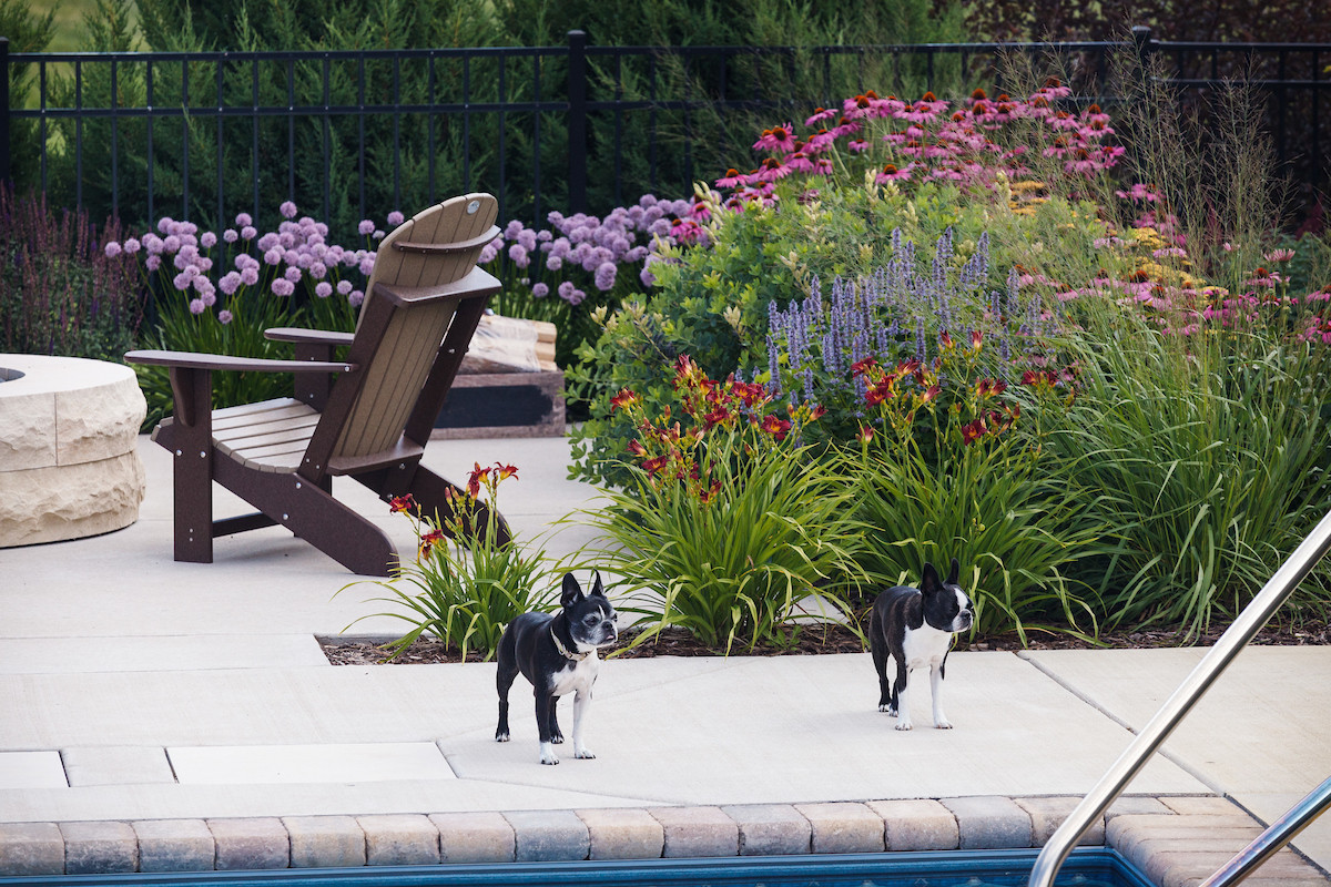 Traditional Pool & Dogs - Cedarburg