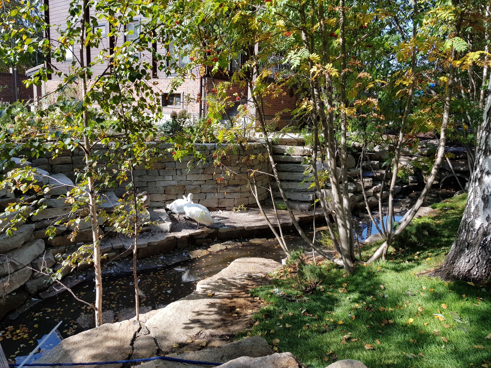Берега загородной жизни