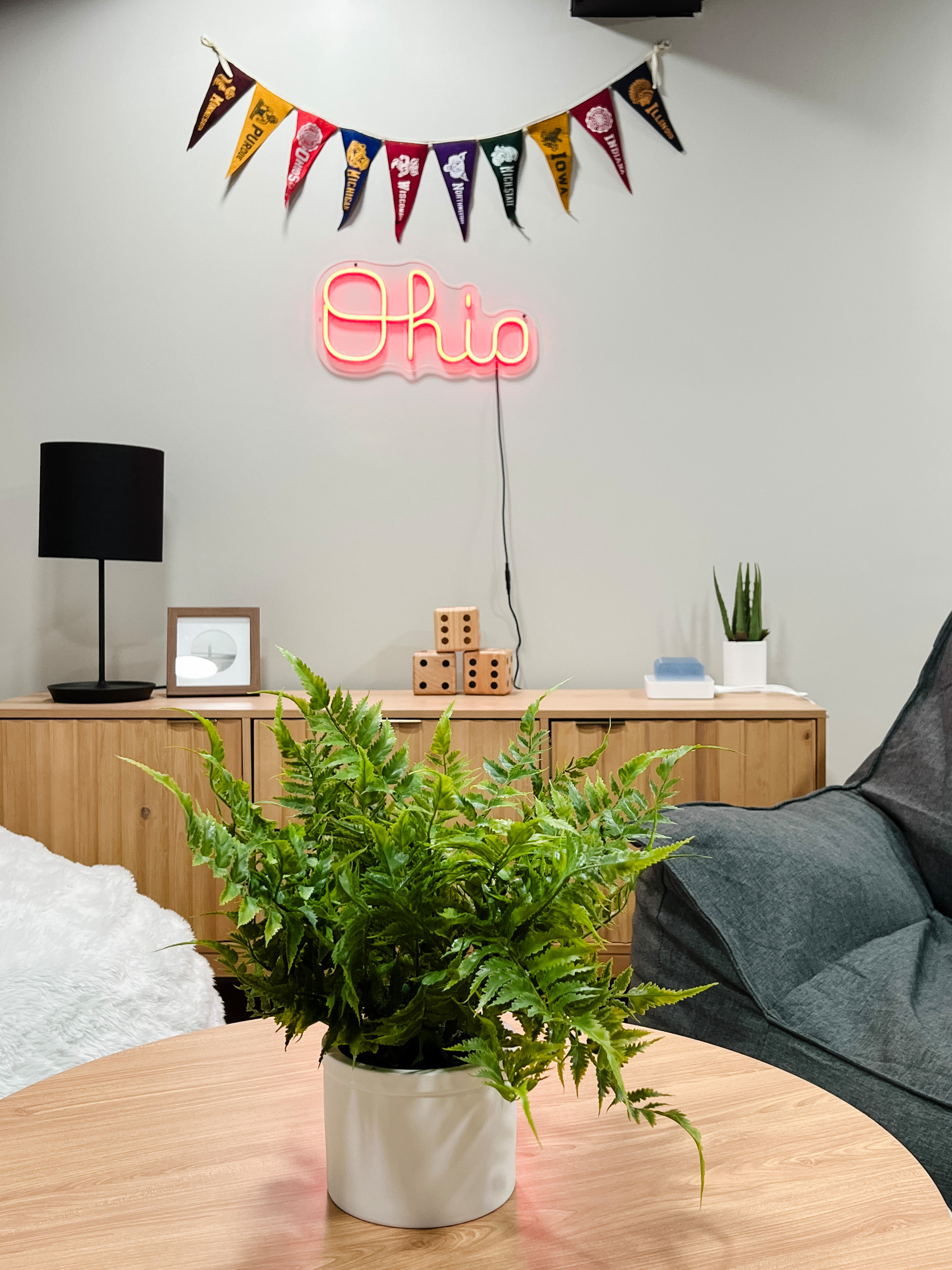 Family Rooms & Basements