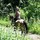 margo_miller5