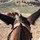 yves_halliburton_3855