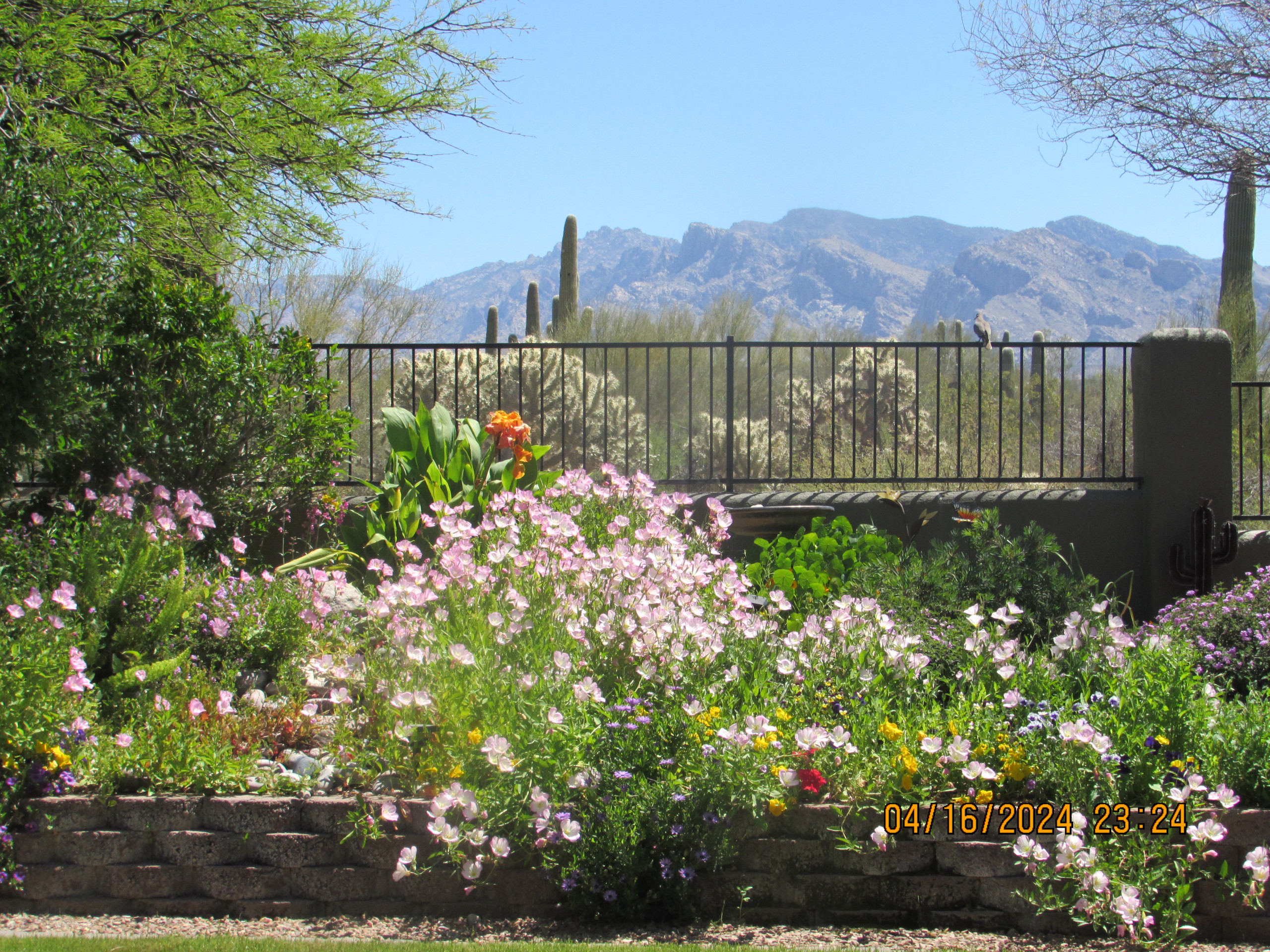 Landscaping
