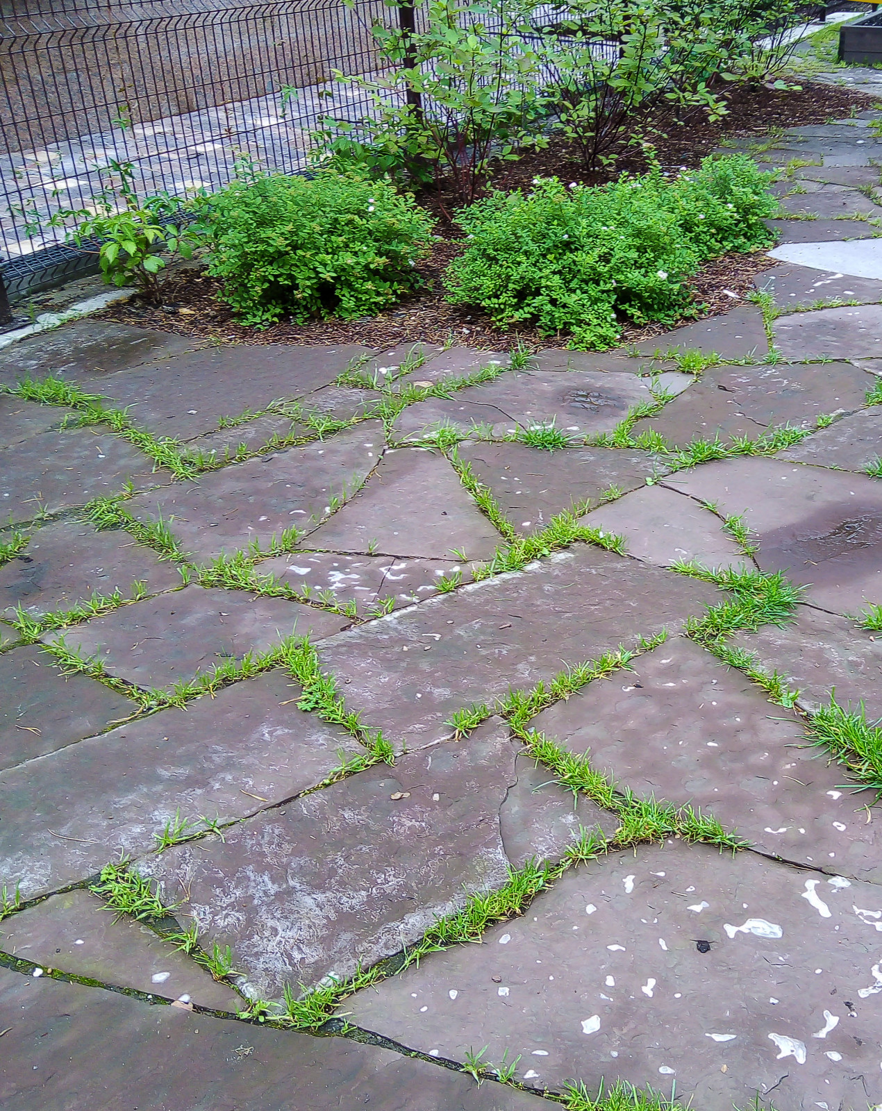 Рабочий процесс