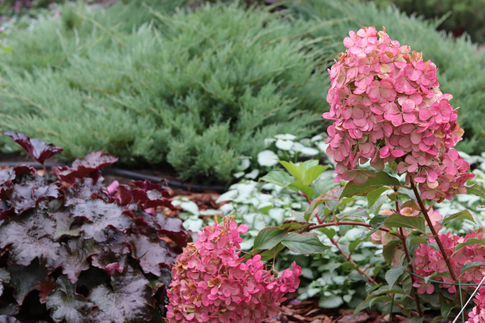 Айдаровский ручей