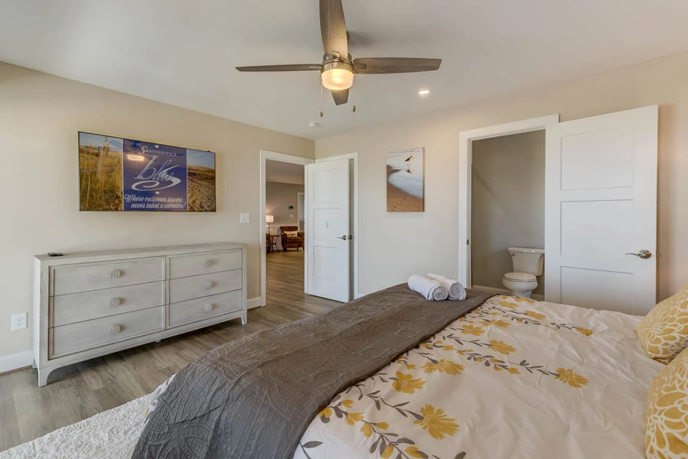 Dolphin Watch (2023)