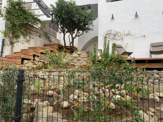 Jardin vue mer coastal-deck