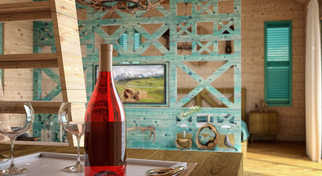 DELTA HOUSE INTERIOR transitional-rendering