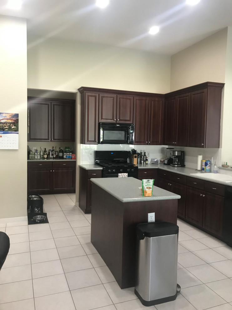 Transitional home design photo in Orlando