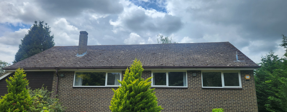 Woodpecker close Cobham