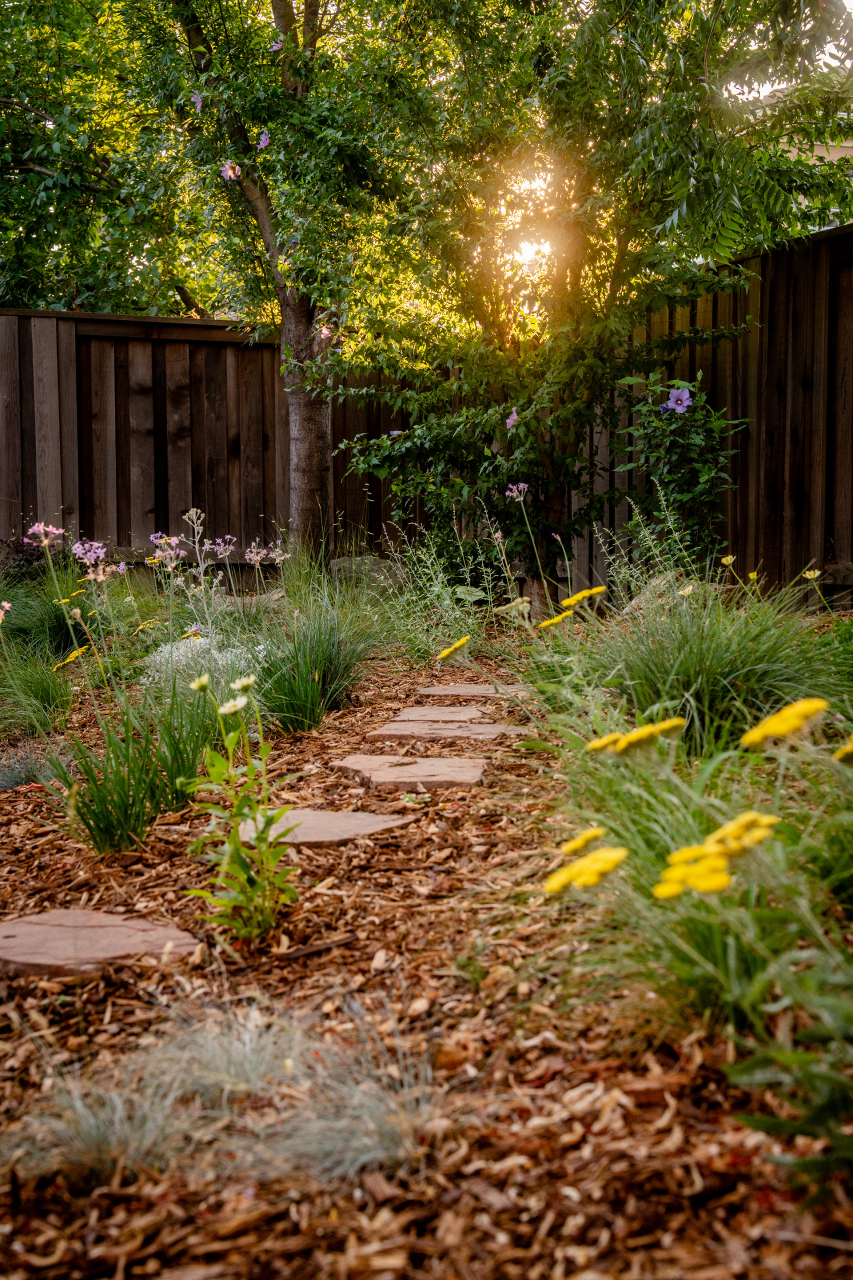 Meadow Details and and Reclaimed Flagstone