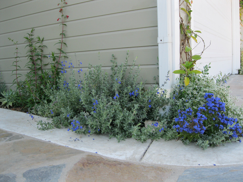 Inspiration for a small traditional garden in Orange County.