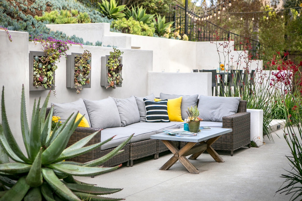 Design ideas for a contemporary patio in San Diego with a vertical garden and concrete pavers.