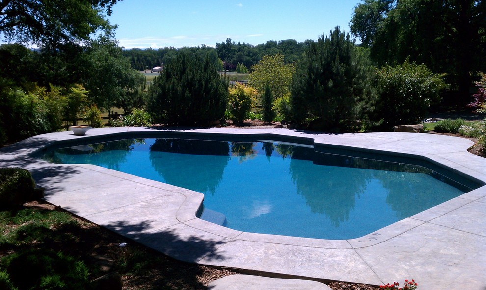 Photo of a modern backyard custom-shaped pool in Sacramento with concrete slab.