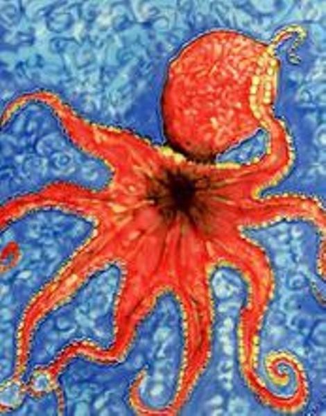 Octopus In Deep Blue Sea 6X6 Inch Ceramic Tile