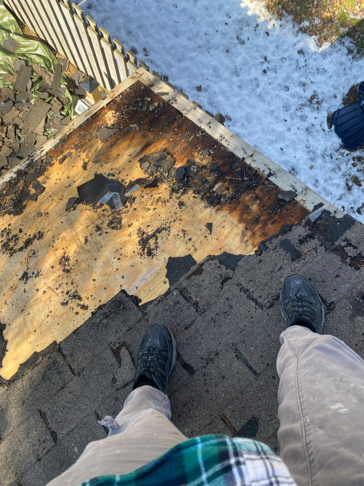 Shed Roof Repair