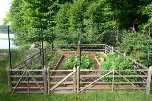 Enclosed vegetable garden with iron screens above the wooden fence.